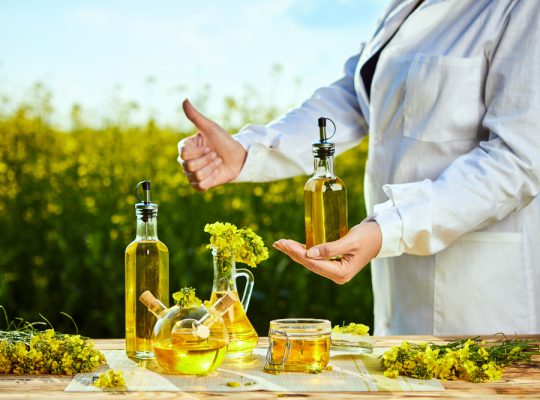 Uleiul de măsline: beneficii și cum să alegi unul autentic