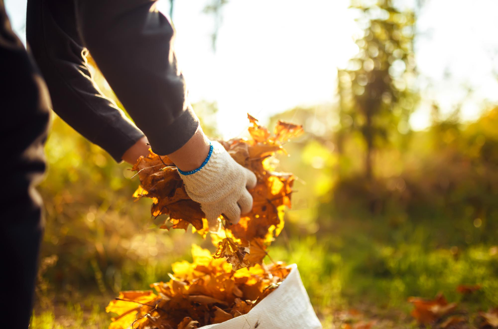 20 Afirmatii pentru curățare spirituală toamna aceasta