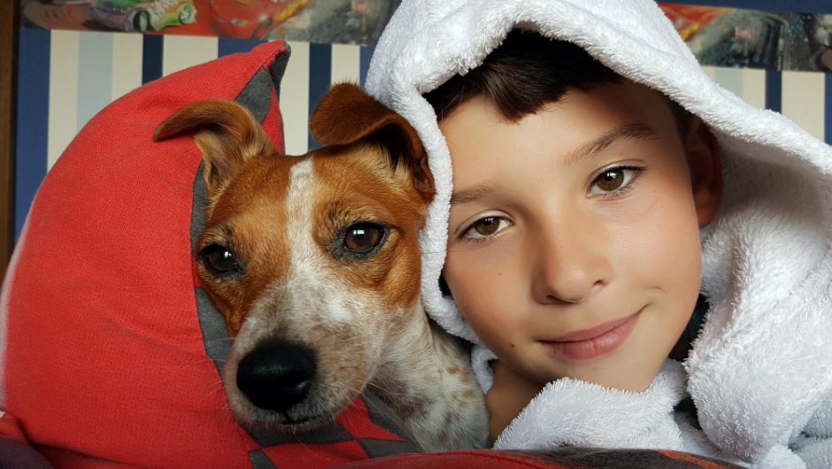 Filme cu câini: Cele mai emoționante și inspiraționale povești