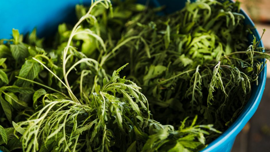 Neem: Planta miraculoasă pentru detoxifiere și sănătatea pielii