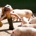 Ce înseamnă când visezi porci