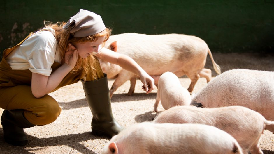 Ce înseamnă când visezi porci
